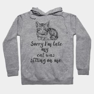 Funny Cat shirt, Cat lover gift, I am late, Christmas cat gift Hoodie